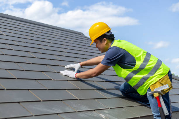 Best Green or Eco-Friendly Roofing Solutions  in Dover Base Housing, DE